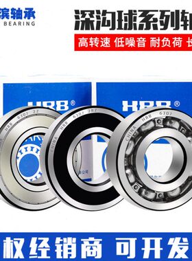 6 95644哈尔滨HR69409648 249366B93893 69 95  936ZZ666轴承2