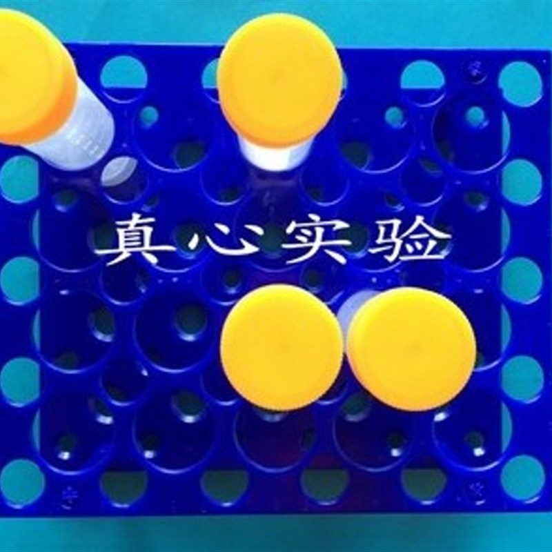 塑料可拆两用离心管架 放10ML/15ML/50ML离心管 大号  5.0孔试管