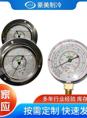 厂家供应瑞士REFCO数字压力表MR305MR205测量范围在-1-35MPa高压