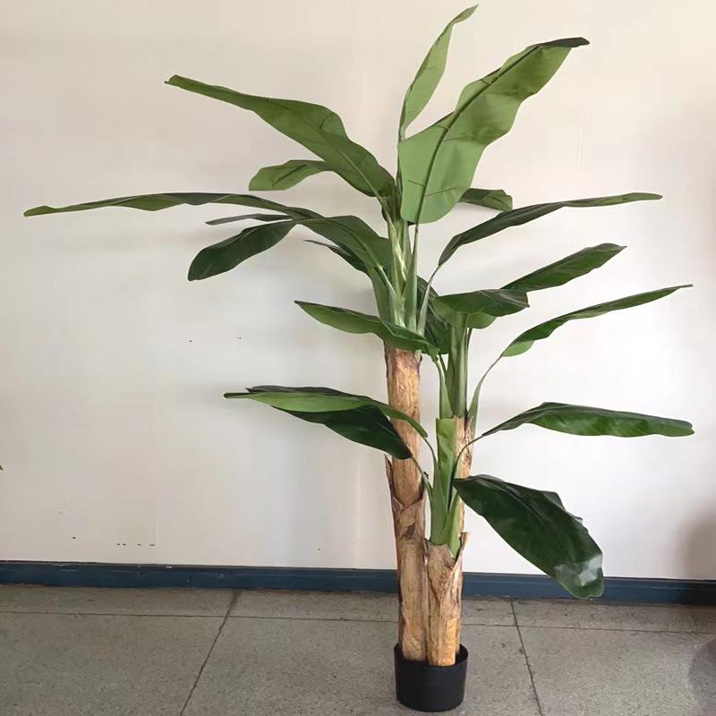 绿植大型芭蕉树落地盆景工程植物造景香蕉树室内假树仿真绿植