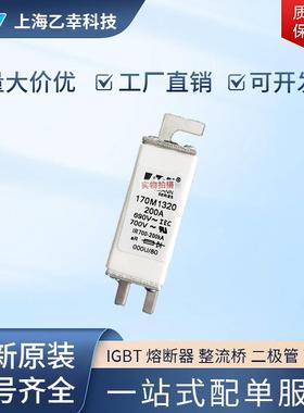 巴斯曼熔断器 170M1318 170M1319 170M1320 170M1321 170M1322