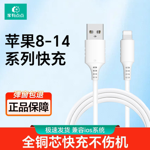 家有点点苹果数据线20W快充套装
