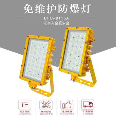 led防爆投光灯泛光灯40W50W60W80W100W免维护防爆灯BFC8115A