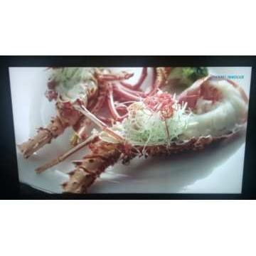 49寸户外高亮液晶屏YZ490PD02-D20亮度2000全视角,充电桩,广告机