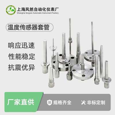 定制热电偶温度传感器套管 带螺栓热电阻套件 不锈钢法兰工厂
