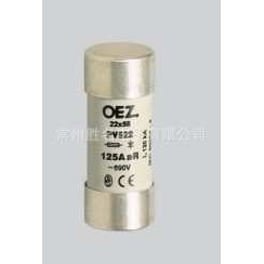690V OEZ保险丝管22x58mm 125A 120kA高品质熔断器 PV522