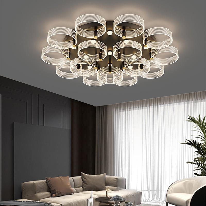 2025年新款客厅灯现代卧室灯北欧简约大气圆形铁艺烤漆吸顶灯灯具