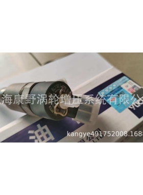 a喷油器0445111024 1ESG00和0445120432和0445120431和044512066L
