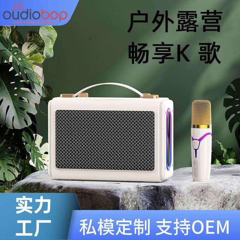 户外露营一体音响便携式麦克风儿童家庭KTV户外卡拉OK家用低音炮