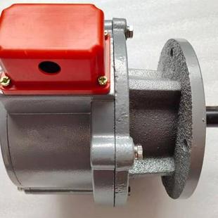 600DLY1 750DLY1 1000D超速开关速度开关 LY1G