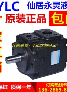 --F2R-F1 V27-FP仙14 Y3-P油泵1 1RL 7V225居永灵V2P-叶片泵2RC