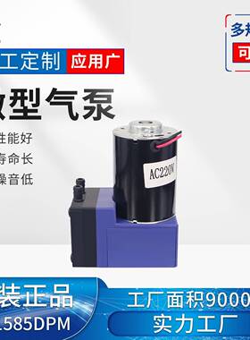 GT1585DPM微型气泵小型气动隔膜泵无泄漏防爆增压泵