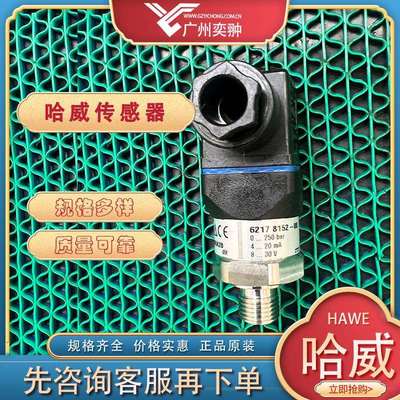 进口HAWE哈威DT 11-600压力继电器原装供应DT系列