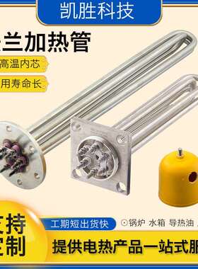 115法兰加热管immersion heater水箱导热油大功率380v锅炉电热管