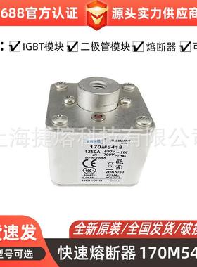 170M5418 170M5447 170M5448直流快速熔断器 电子元器件 库存充足