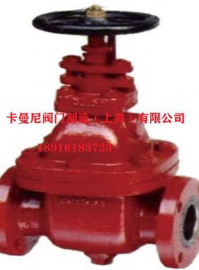 CB/T465-1995 CBT465-AS 船用法兰铸铁闸阀A/AS型 DN50 65 80 100