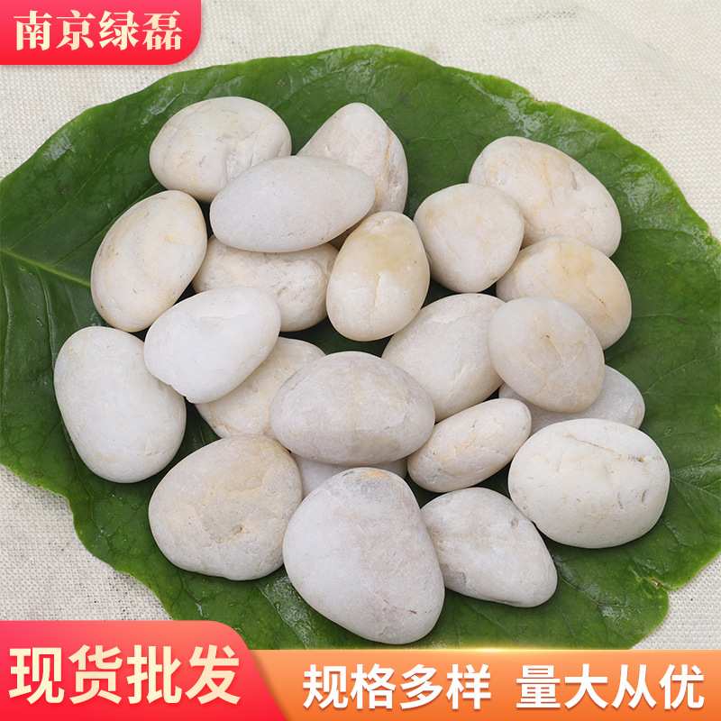 白色鹅卵石 园林景观抛光雨花石头 鱼缸装饰水池垫底小石子