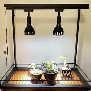 NBHD多肉花架可挂补光灯多层日式块根植物架盆栽花盆架子灯架