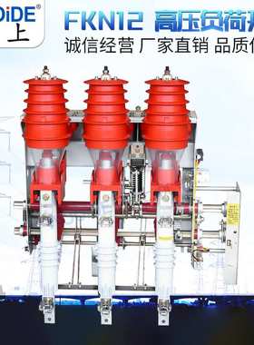 FKN12-12D/T630A FKRN12-12DR/T125A 10KV户内交流高压负荷开关