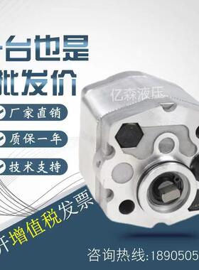 意大利Hydronit齿轮泵E60605002/5035/5004/5005/5006/5007/5008