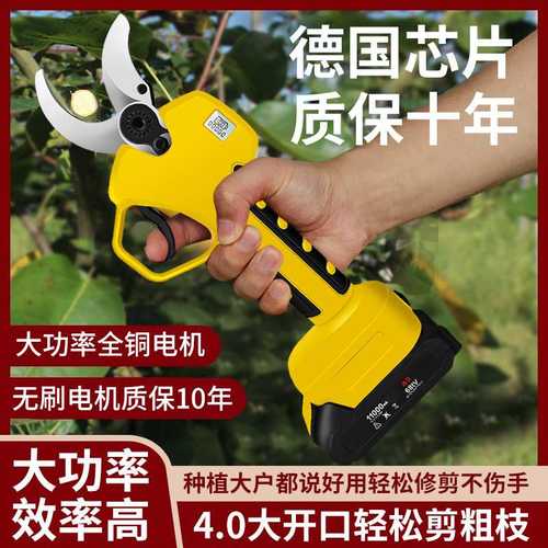 电动修枝剪剪树枝电动剪刀充电式锂电池果树果枝剪高枝杆2款可选