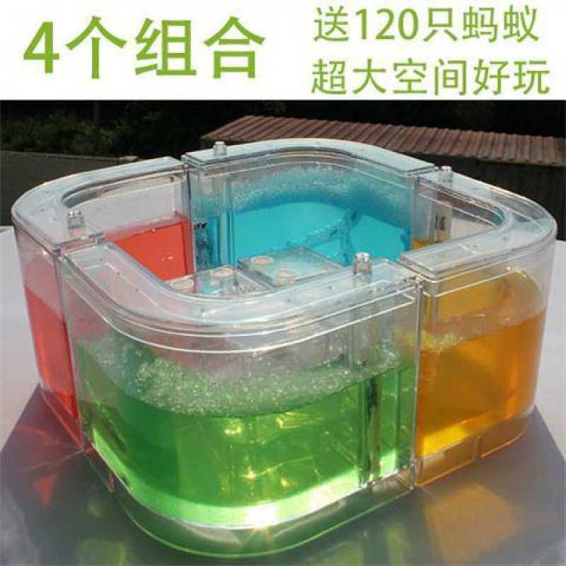 蚂蚁生态箱豪华宠物蚂蚁工坊蚂蚁别墅多个家园串联互通送蚂蚁