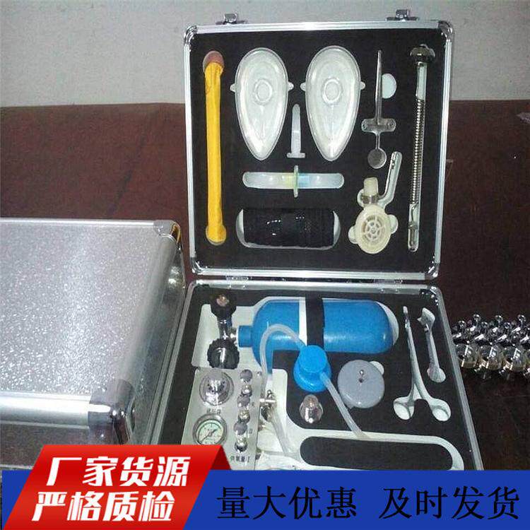 便携式MZS-30自动苏生器MZS-30呼吸的急救装置自动苏生器