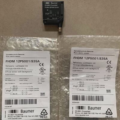 BAUMER电动FHDM12P5001S35A