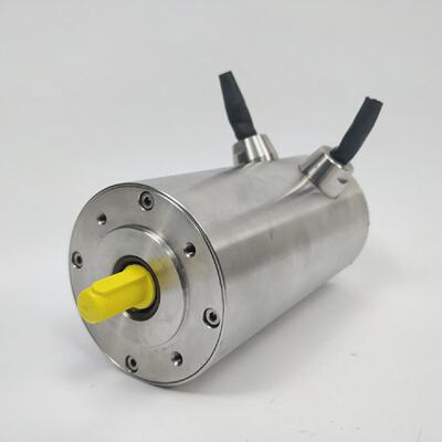 Infranor BF083 BF083A.30.0099.B5 Mavilor AC Servomoteur
