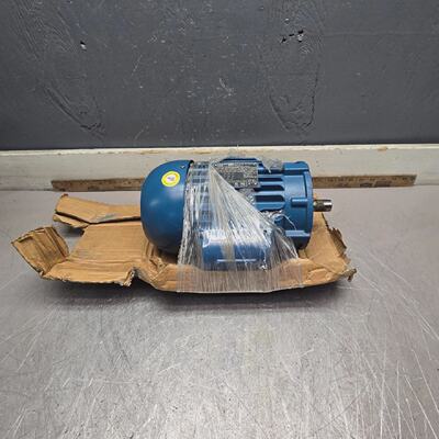 WEGW22SEVEREDUTYMOTOR3PH3HPCT00350NPW22T575V3460RPM全新SURPL