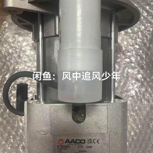 AACO意大利原装电机，型号8780001--议价商品