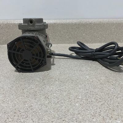 Surface Combustion 38T31 NEW
