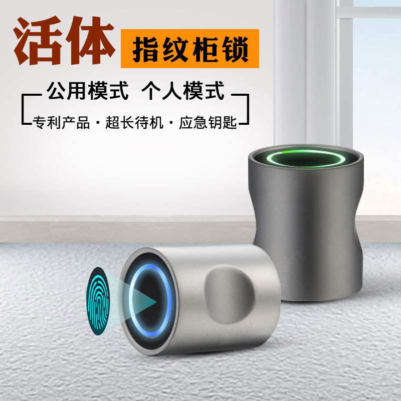 钢柜木柜门板书柜文件柜鞋柜抽屉健身房更衣柜指纹锁密码锁智能锁
