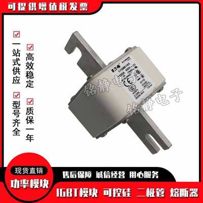 170M6307 170M6203 170M6204 170M6205 170M6206熔断器170M6207