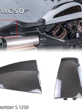 适用哈雷戴维森 Halley Sportster S 1250改装碳纤维后尾盖板驼峰