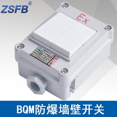 SWB-10IIS防爆照明开关墙壁式ExdbebⅡCT6ExtbⅢC电流10A电压220V
