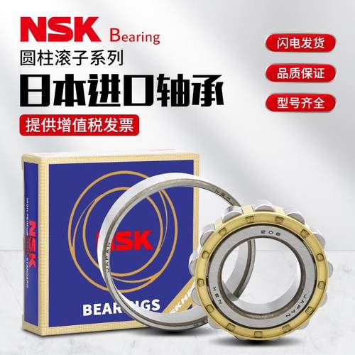 进口NSK NJ22 04/05/06/07/08/09 EW EM C3圆柱滚子轴承