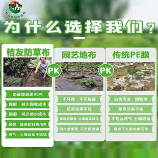 新型防草布除草布绿黑遮草布透气地布农用种植绿地膜