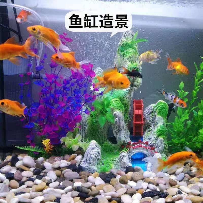 小乌龟缸石头南京雨花石鹅卵石鱼缸装饰天然石子石铺面园艺小石头