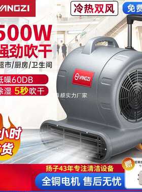 扬子吹地机地面吹干机商用大功率地毯干燥厕所地板除湿吹风机