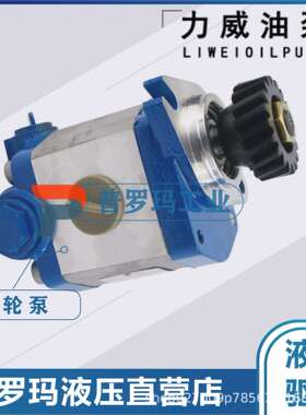 合肥力威 QC20/15-WP6J 汽车油泵 合肥天力方向动力泵转向泵