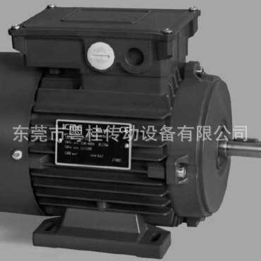 意大利ICME进口电机 意大利进口马达 T112LB4B5/B14/B3 4KW
