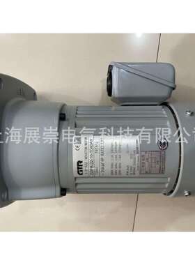 GTR电机 NISSEI日精马达 FSMN-30-80-T020WA FS30N80-CNB020TWCT