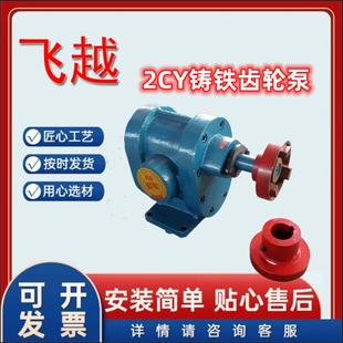 铸铁材质柴油齿轮泵2CY-3/2.5 电动卧式铸铁输油泊头油泵