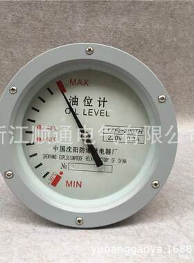 油位计变压器指针式油位计YZF2-250油位计防雨罩YZF3YZF2-200UZF2