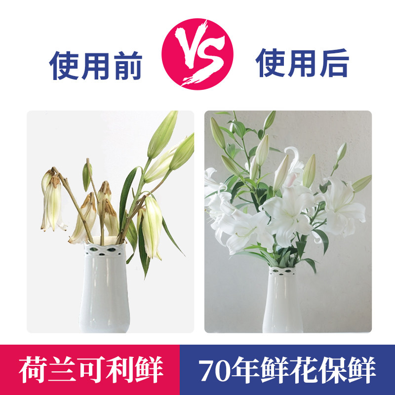 荷兰hvb可利鲜鲜花保鲜剂百合粉伴侣玫瑰营养液延长花期花店家用3