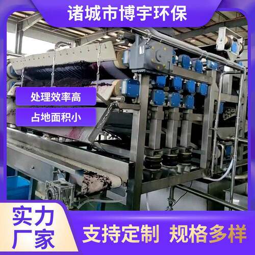 桑葚大型榨汁机樱桃水果汁渣分离机工业级果汁机榨汁设备