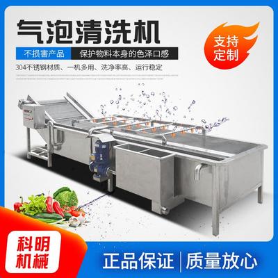 全自动涡流清洗机商用净菜清洗加工设备去杂质多功能洗菜机