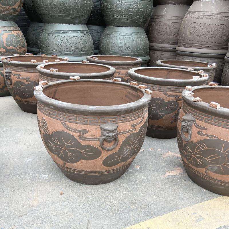 土陶缸鱼缸大水缸荷花睡莲庭院别墅门海园林绿化景观种花种树装饰