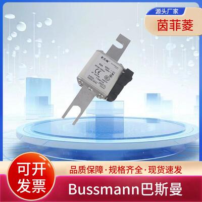 熔断器170M3258 170M3259 170M3260 170M3261 170M3262 170M3263